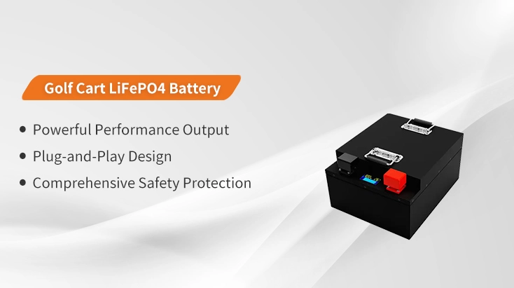 51.2V 63Ah 100A Golf Cart LiFePO4 Battery 51.2V 63Ah 100A Golf Cart LiFePO4 Battery