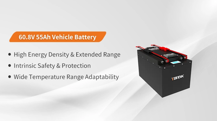 low speed vehicle batteries low speed vehicle batteries