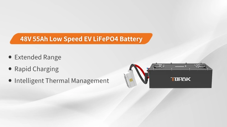 Low Speed EV LiFePO4 Battery