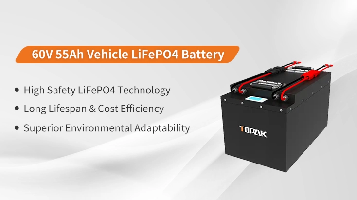 low speed vehicle batteries