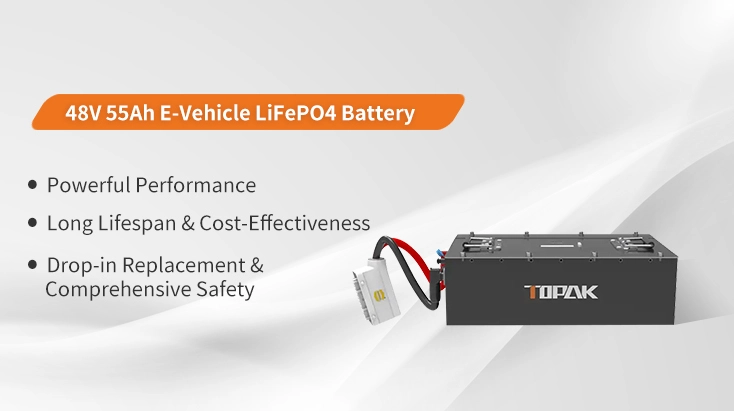 Low Speed EV LiFePO4 Battery