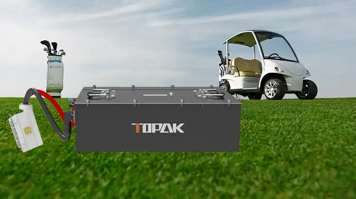 What Charging Technologies Do Low Speed Vehicle Batteries Use?