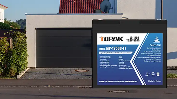 What Features Define a Quality lifepo4 12v 50ah battery?